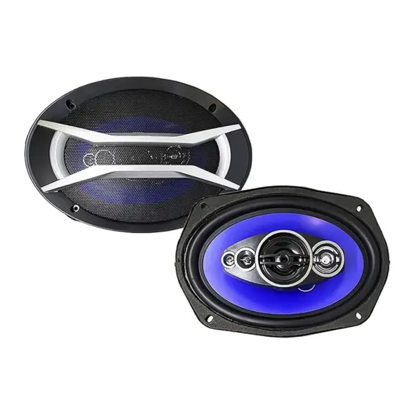 Celsior CS-6905P - 4-смугова акустика