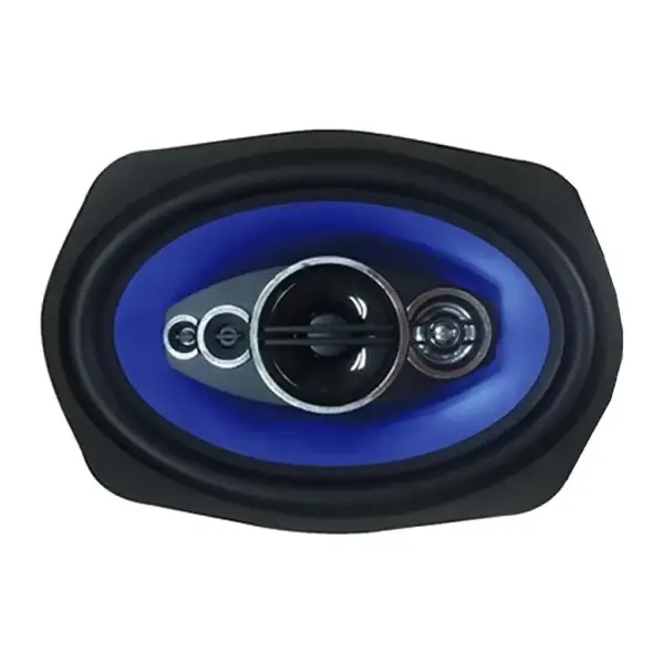 Celsior CS-6905P - 4-смугова акустика